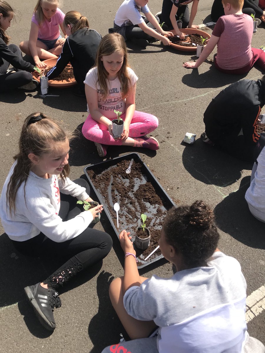 MurrayburnP's tweet photo. Outdoor Learning Day #murrayburnlife #outdoorlearning #primary6B https://t.co/ExyCNGVAZG