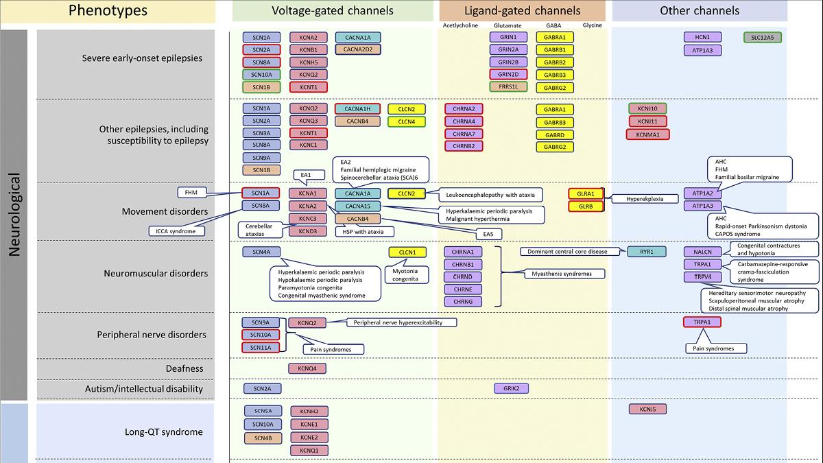 european perspectives on