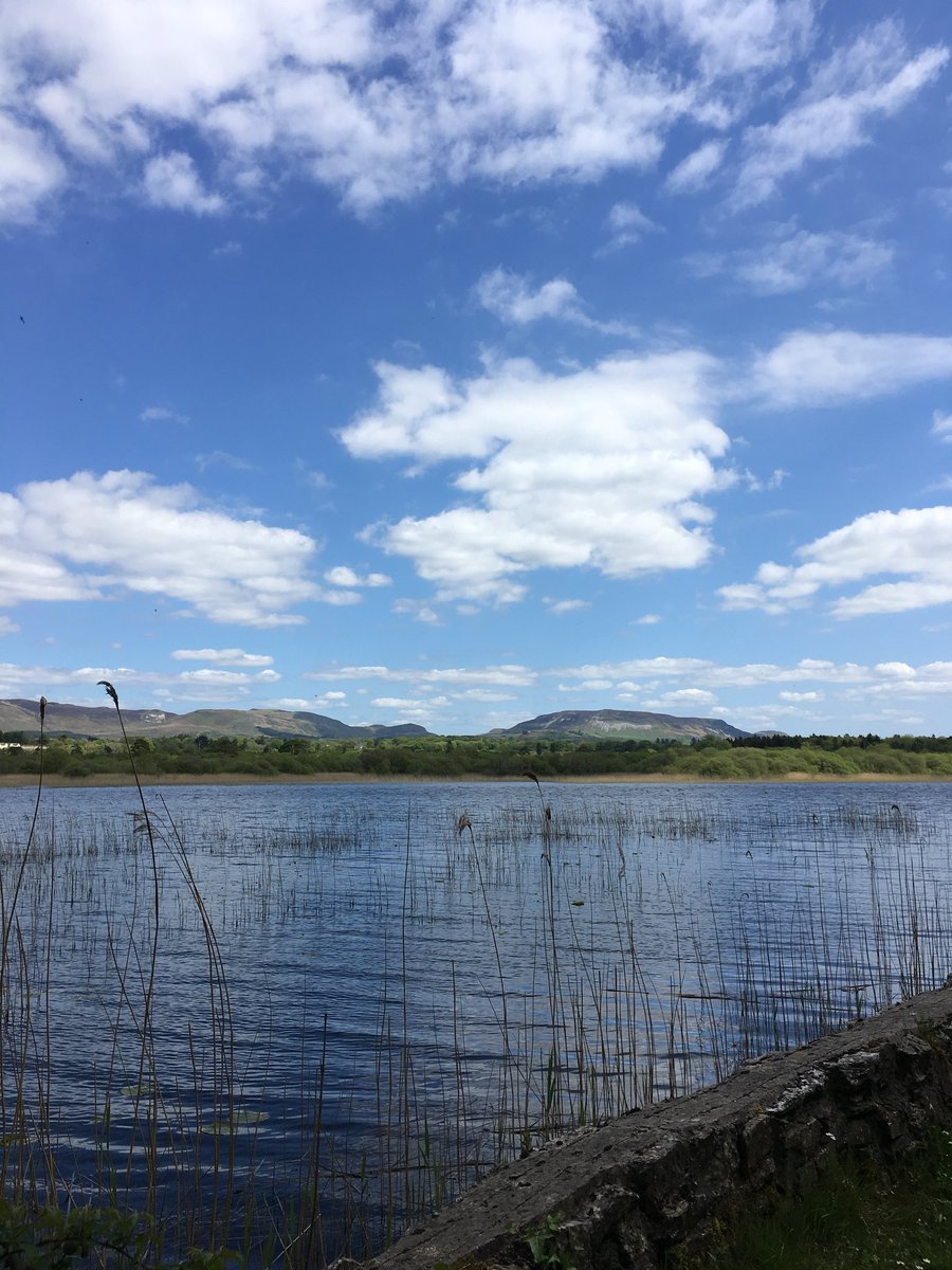 callofthewild1's tweet photo. ๐Lunchtime walks along the river, itโs a beautiful day in Sligo #lovesligo #riversidewalks #exploringlocal #sunny_day #sligo #garavogueriver @SligoWalks @BestOfSligo @sligoparkhotel @Riverside_Sligo @nwadventuretour @SligoKayakTours https://t.co/BG93DXKUOX