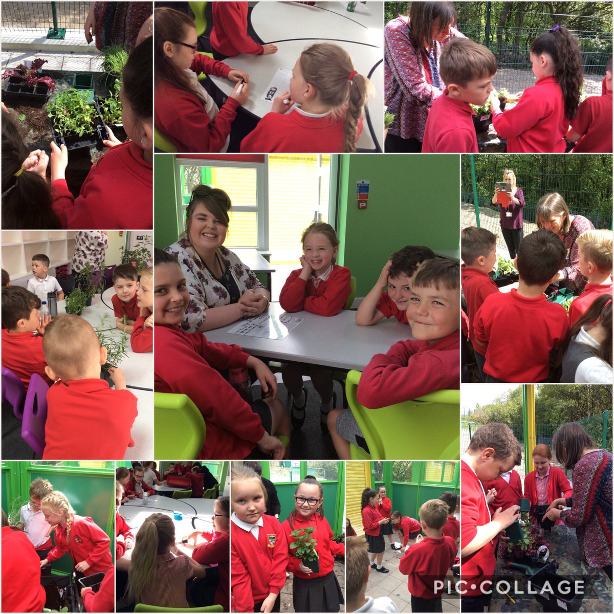 MrsARichards95's tweet photo. A lovely morning spent getting to know each other 👫😄@misssbellew @MissDGrimas @VictoriaForestS @missbodger @garntegprimary @VictoriaPrimar1 @TorfaenEcology 🌿🌱 https://t.co/bTpvav7d9L