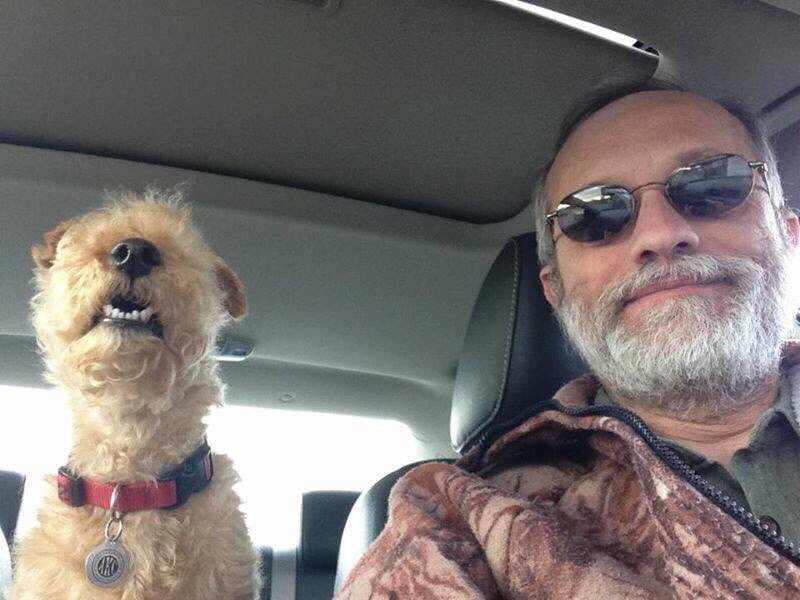 Lucy and dad going for a ride to bark at cows! #lakelandterrier #Lakedistrict @Chewy @Petco @PetSmart #zshq #btposse #ThursdayThoughts #akc @akcdoglovers @TheKennelClubUK @JohnWNEP #roadtrip #dogsofttwitter #doglovers #dogsofinstagram #Pennsylvania #gotmilk #dairy #farmersmarket