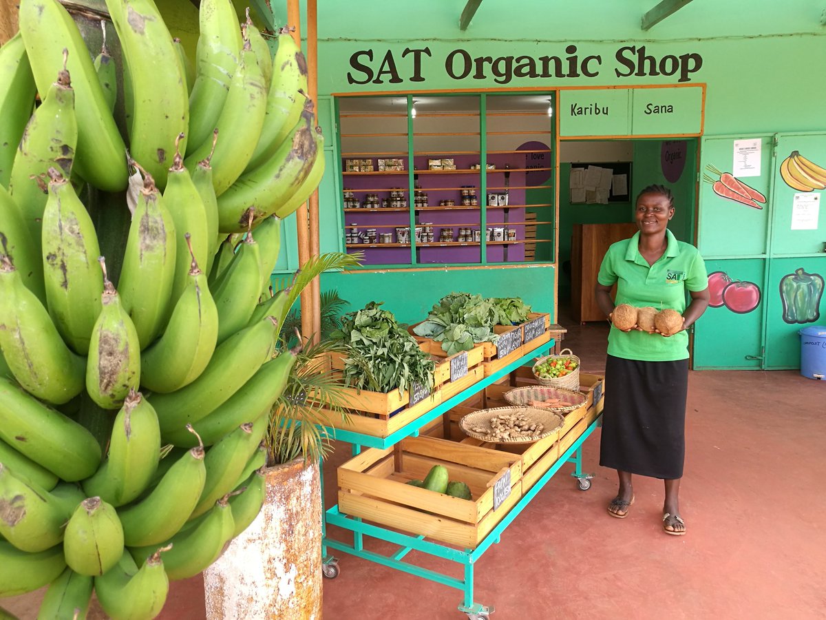 We are pioneering with our organic shop in Tanzania, providing best products in Morogoro. Healthy food for happy people! Kilimo hai!