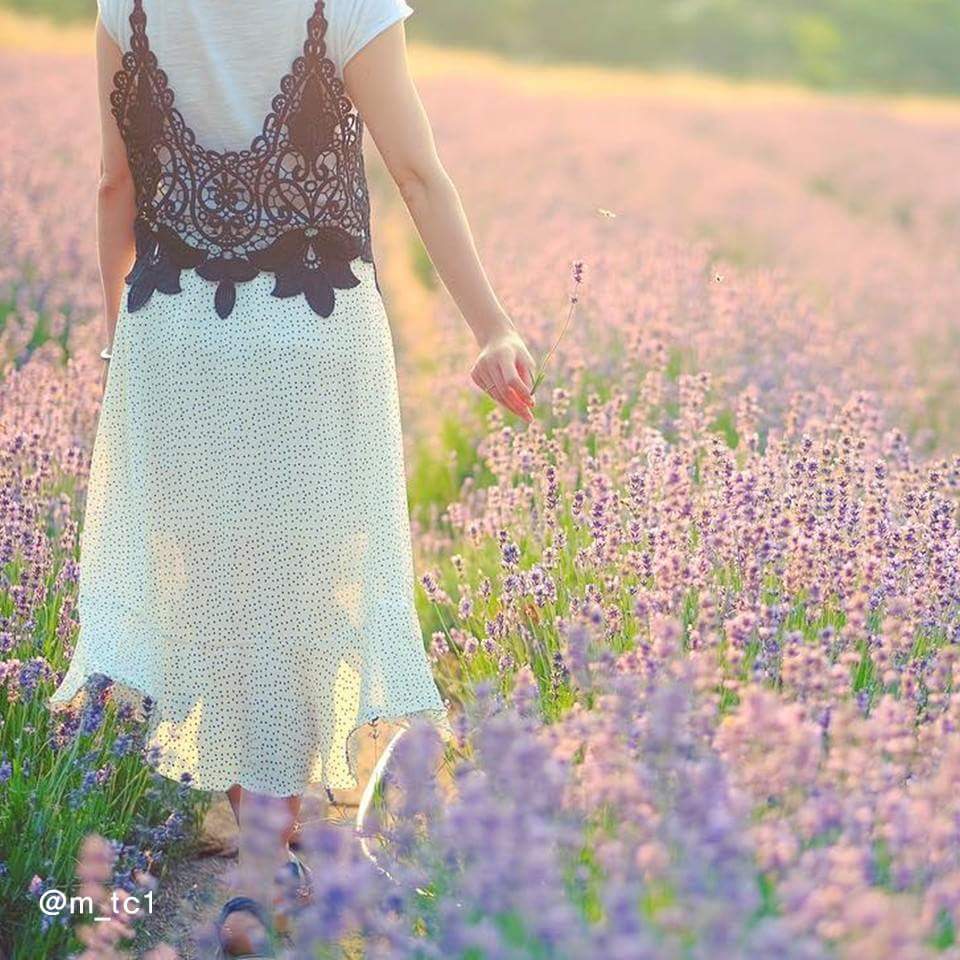 강원도 여행가자ㅋㅋ