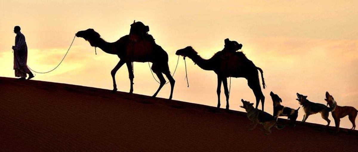 SufianSamarrai's tweet photo. صورة بألف كلمة لمن يهمه الأمر . https://t.co/TAof30Ndrp
