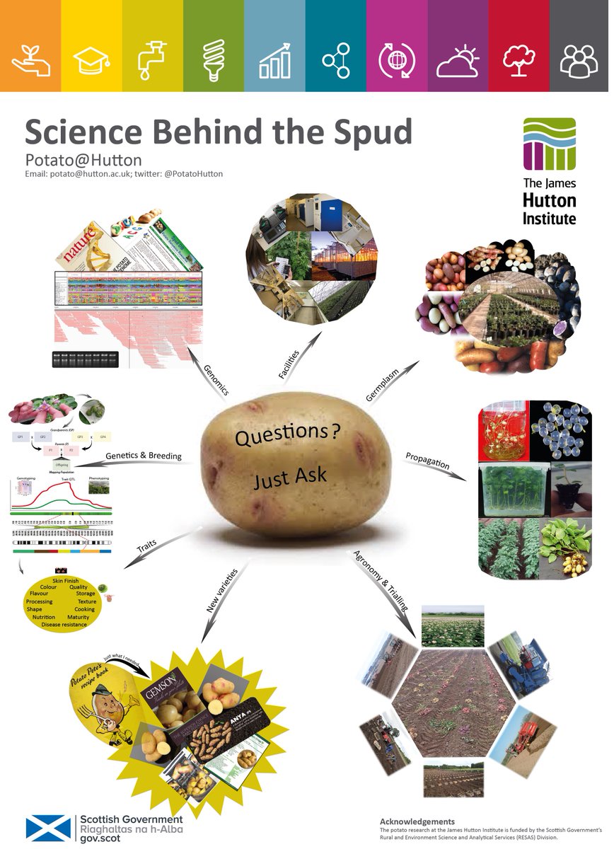 #PlantPower Day this Sunday (11am-4pm) <a href="/DundeeBotanics/">Botanic Garden, University of Dundee</a>! We will be there with our “Science Behind the Spud” display! Come and learn more about potatoes…