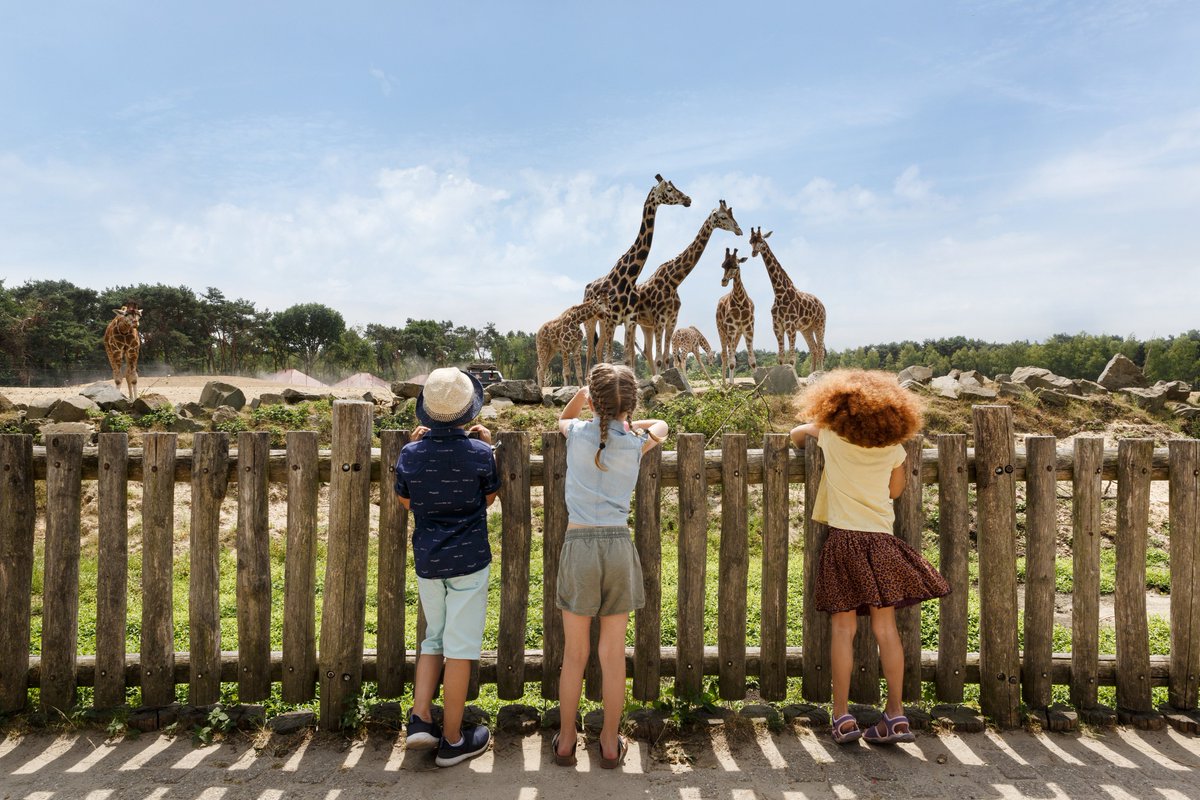 ToerAtt's tweet photo. Welke zijn de populairste pretparken in de Benelux en waarom? https://t.co/Mu3xLDOKw5 #diamondthemeparkawards https://t.co/tKCYB9l3h6