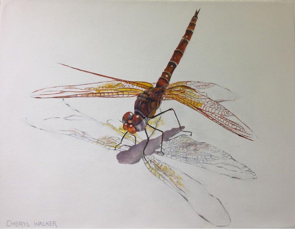 Imbizo13's tweet photo. New additions to our Imbizo Hoedspruit Gallery by Cheryl Walker! These include: “Silently Stalking” and “Flight of Colour”! 
#Cheryl #Imbizo #New https://t.co/VmkOP8ZPSf