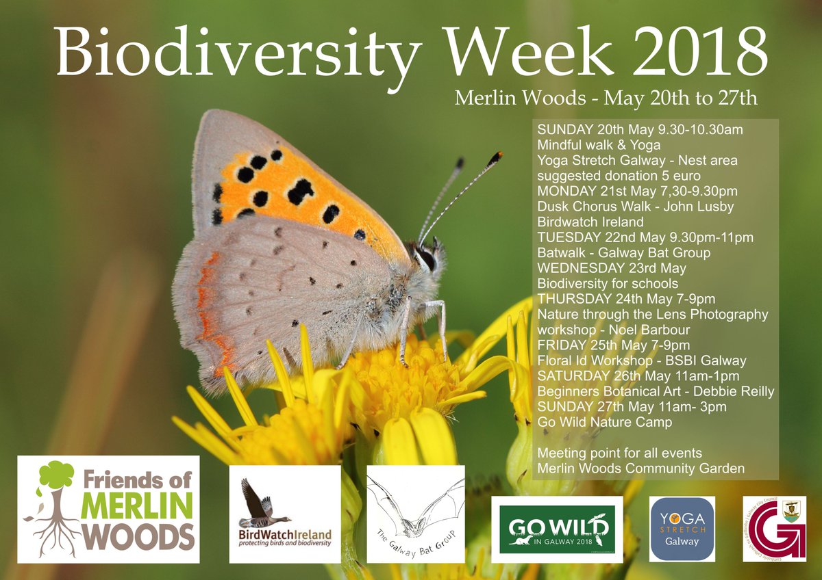 FriendsMerlinWD's tweet photo. Can you please #share #retweet unfortunately once again our press release which was sent in,hasn't appeared in the local advertiser . Award winning or community work dosen't get you any favours ! We need your help #Biodiversityweek #MerlinWoods #Galway starts this Sunday May 20th https://t.co/pbJwbnlYwP