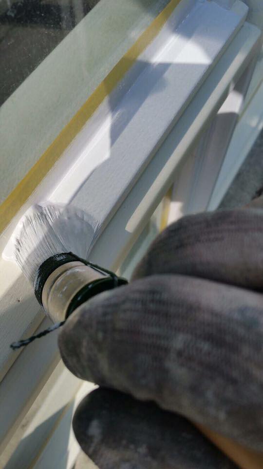 Wij zijn op zoek naar gemotiveerde #schilders voor onderhoudsschilderwerk. We komen graag met u in contact! viaviapersoneelsdiensten.nl . RT wordt gewaardeerd!