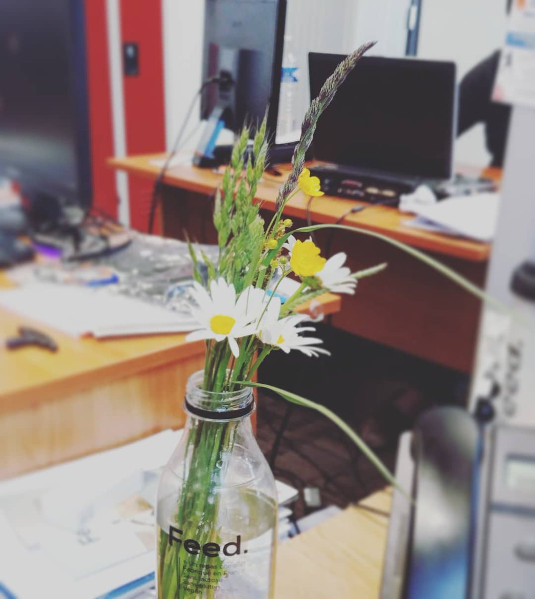 korosion's tweet photo. Pour amener le printemps au bureau, tout se transforme ;) @feedsmartfood https://t.co/Fm6ndfUq3E