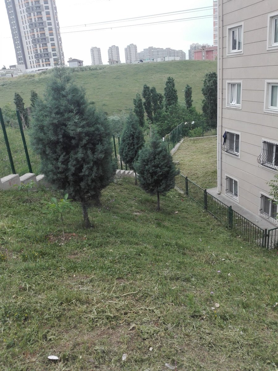 2.Etap da ikinci tur cim bicimi devam ediyor.<a href="/HasanDurhat/">Hasan Durhat</a> 
<a href="/EmlakYonetim/">Emlak Yönetim A.Ş.</a> @Emlakisletmeler 
@hkarakas6161 <a href="/EnginKargidan/">Engin Kargidan</a>