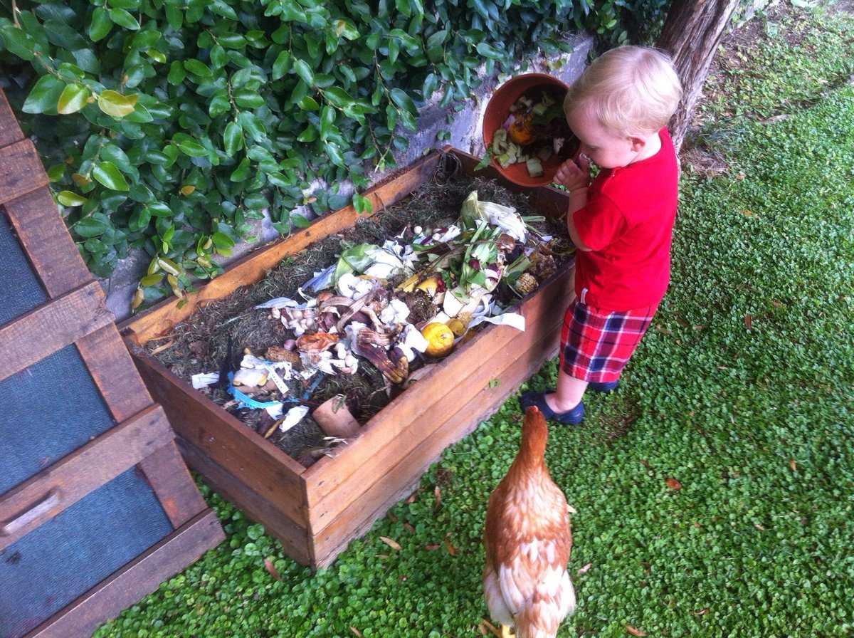 ¡Hola!👋 ¿Nos ayudás a educar? 🗣 ¿Qué tal si les enseñamos a ellos lo que es bueno de verdad?😃

redcompostaje.org.ar 🐛🍁

#RedCompostaje 🌱 #Compostaje #Composteras