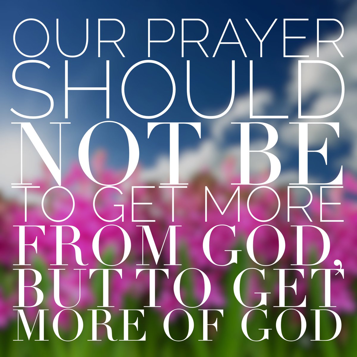 TrinityLife tweet media