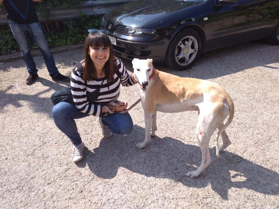 galgos112's tweet photo. #BoletíndelosJueves Anisa, Aitor, Bonnie, Carla y Cástulo,.adoptado, inicoan hoy nuevas vidas. ¡Felicidades!
#acoge #adopta
#TuesdayJournal Anisa, Aitor, Bonnie, Carla & Cástulo (adopted) start today new lives. Congrats!
#foster #adopt
https://t.co/f7rUas0Hvb https://t.co/Fzx1O9LGAH