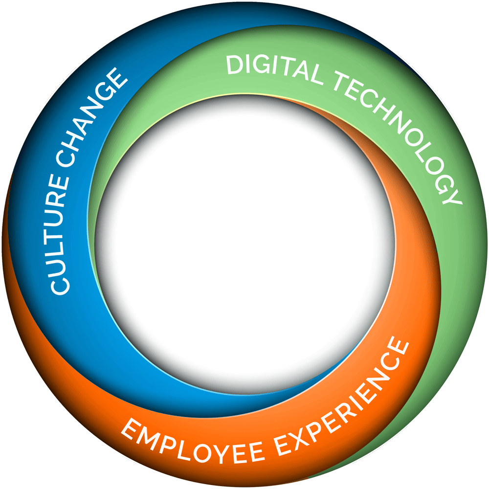 RencaiGroup's tweet image. Who are #Rencai and what do they do? #hroperatingmodels #hr #hrchange #people #peopletransformation #employeeengagement #hris buff.ly/2vOnv8y