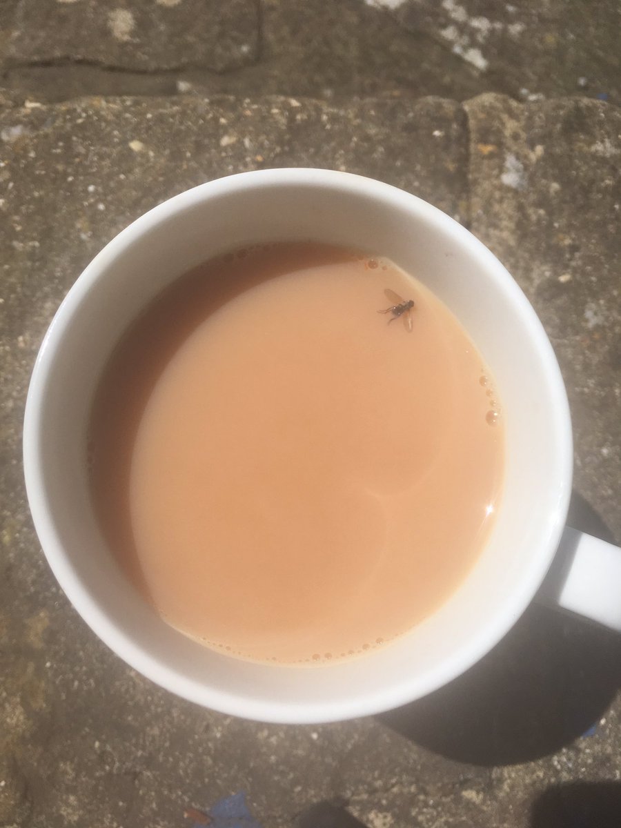 ajroberts81's tweet photo. Won't let this get me down ... ! 😒 https://t.co/EjrB5BGv7e
