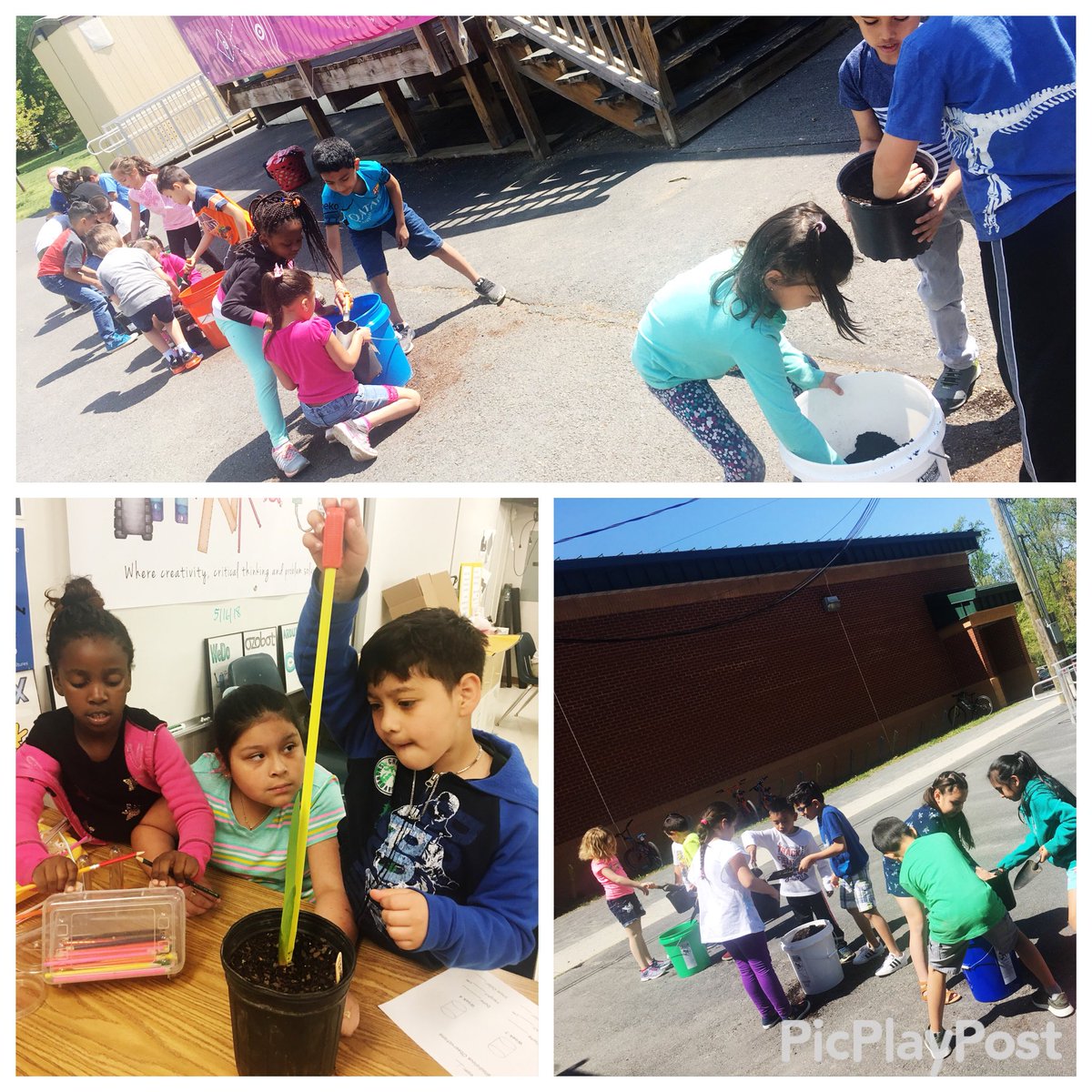 Spring is here! Our younger grades are planting gladiolus flowers around our <a href="/DogwoodFairfax/">DogwoodES FairfaxVA</a> campus to attract more pollinators and look at how they’re growing! <a href="/fcpsGet2Green/">FCPS Get2Green</a>
