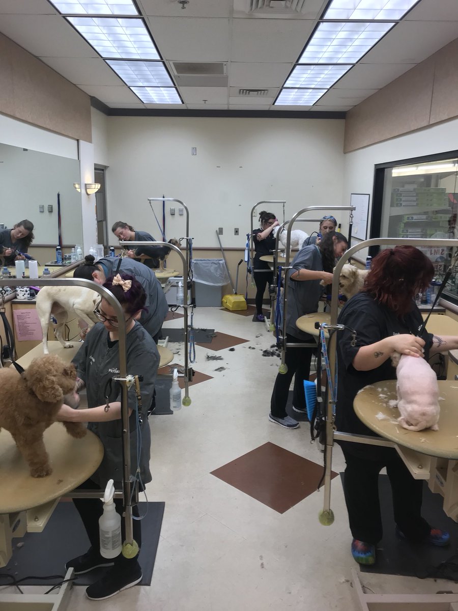 Our academy is hard at work on this rainy morning! #datlife #800hours #buildyourbusiness <a href="/KurtD_Salons/">Kurt Dennis</a> <a href="/Ssmiley231/">Shannon Garibaldi</a>