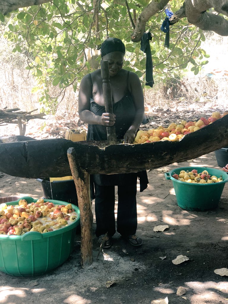 w_agripreneurs's tweet photo. Women processors are #innovative. They’ve created their own cashew juice processing line . Let’s empower and support our rural women by reducing their workload through mechanization! https://t.co/3zW7HqzyZI