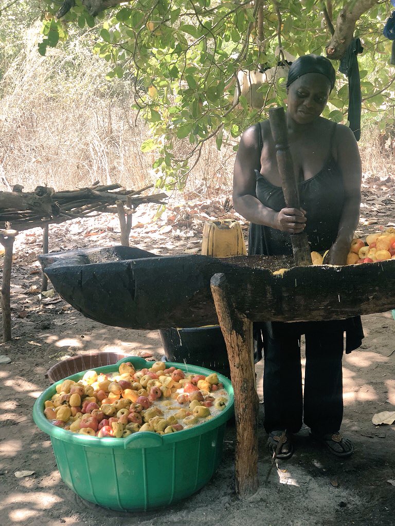 w_agripreneurs's tweet photo. Women processors are #innovative. They’ve created their own cashew juice processing line . Let’s empower and support our rural women by reducing their workload through mechanization! https://t.co/3zW7HqzyZI