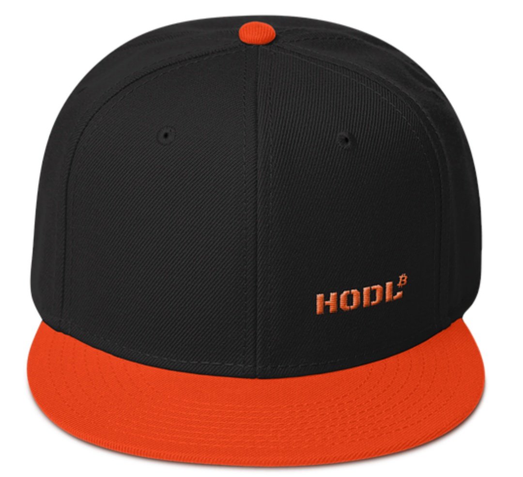 ShopBlockchain's tweet image. Fresh new #HODL caps added to the site!
blockchainstore.xyz/bitcoin-clothi…

#bitcoin #crypto #Cryptocurrency #blockchain