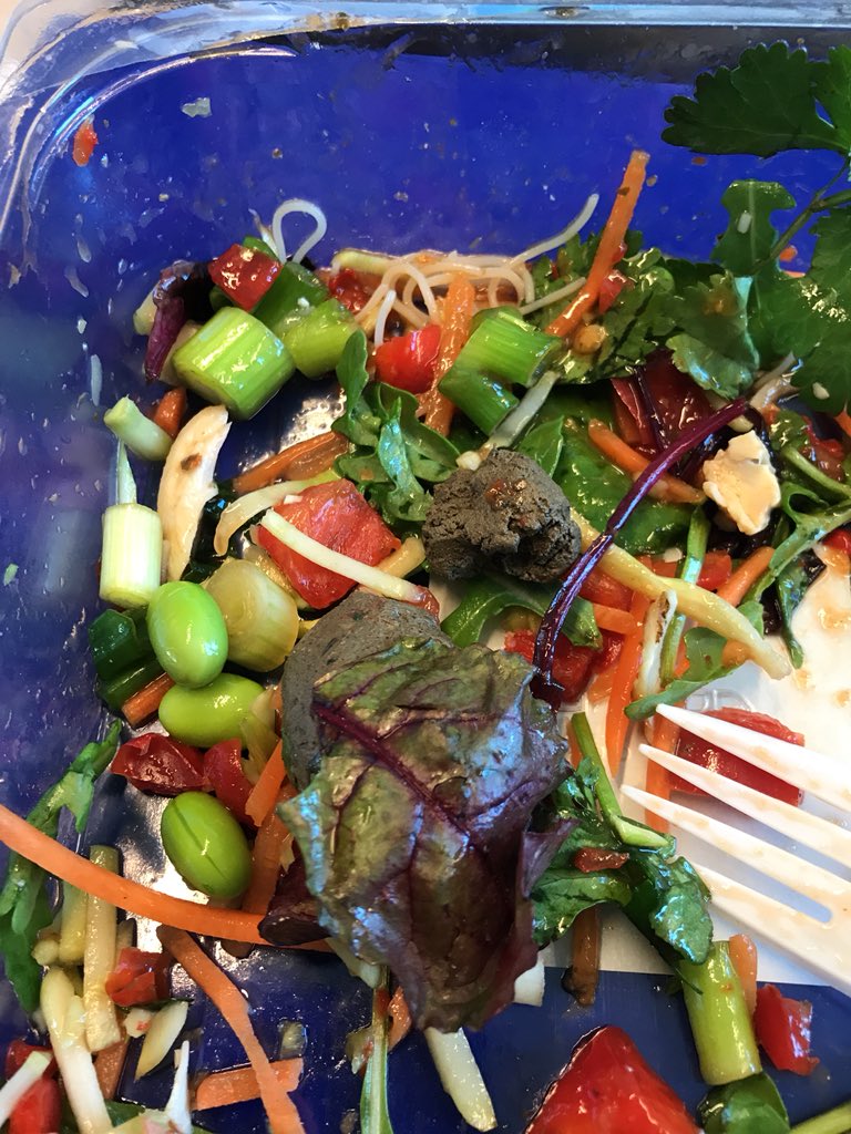 mrjmax's tweet photo. Mud in my salad !!! What’s going on @Morrisons ?? https://t.co/OSasIazANZ