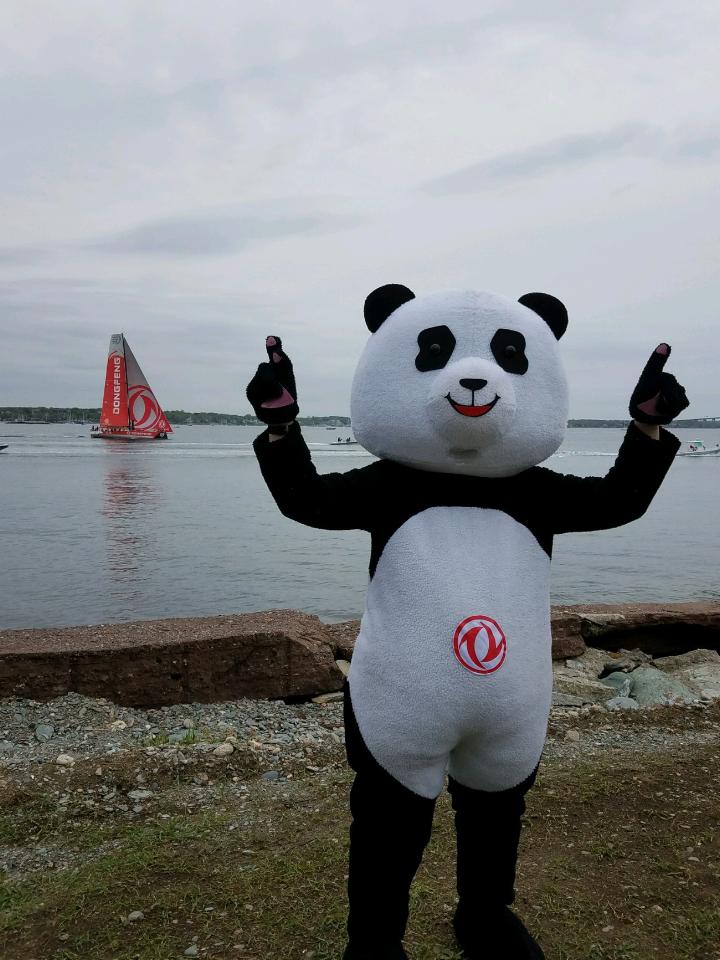 DongfengRacing's tweet photo. Our @WWFChina panda has been busy in the race village in #Newport. Make sure you stop and have a ๐คณ๐ป and ๐บ๐ผ with him. #volvooceanrace #findthepanda https://t.co/snRMLG6bUC