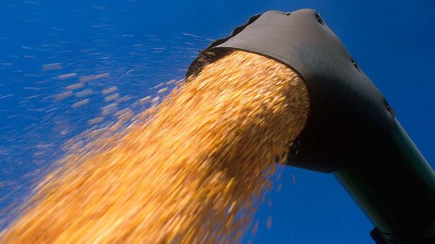 BritishArable's tweet photo. A detailed look at the grain markets and where they could be heading. #BritishAgri via @FarmersWeekly #BritishArable https://t.co/8o7n8wRdXQ https://t.co/BPOUlnL1pY