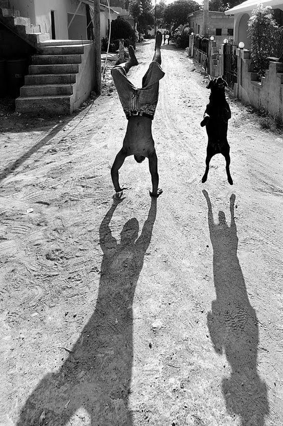 antitaurino's tweet photo. "No todos hablan el mismo lenguaje, pero los que comparten el mismo sentimiento se entienden." ❤️ #dog #dogs #puppy #pup https://t.co/b9TiXbKLhZ