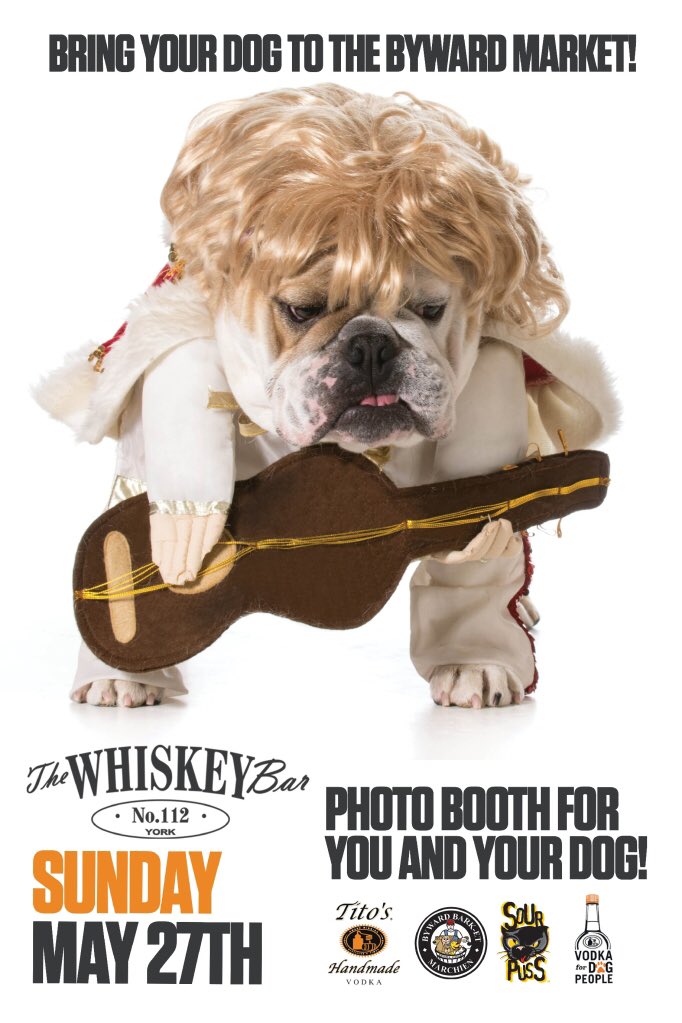 This Sunday 11am-4pm