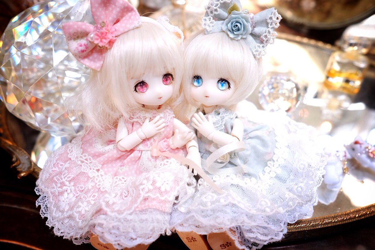 Twitter 上的 ぴろ𓄽りん あまむすシナモンかわいい委員会 シナモンはいいぞ っԅ ԅ T Co Kedkkghqoa Twitter