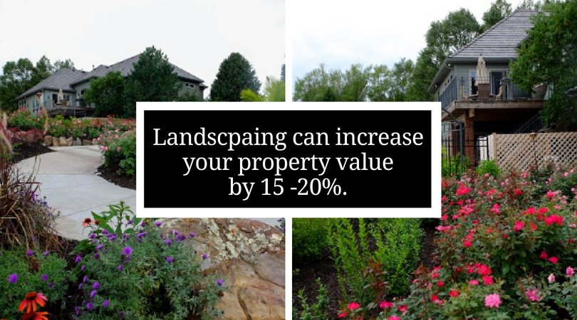 PateraLandscaping tweet media