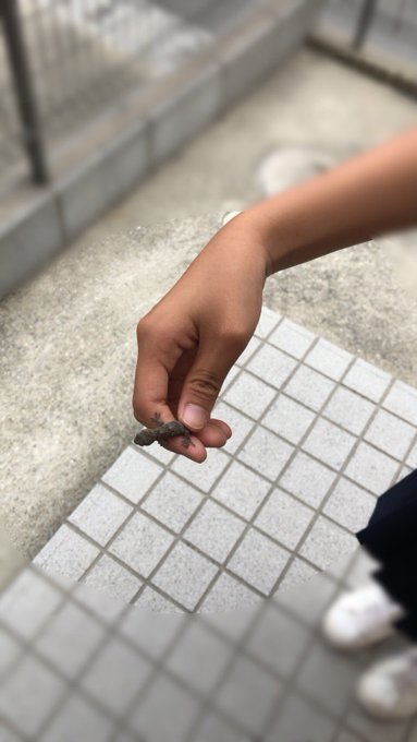 Twitterのコスプレ画像57