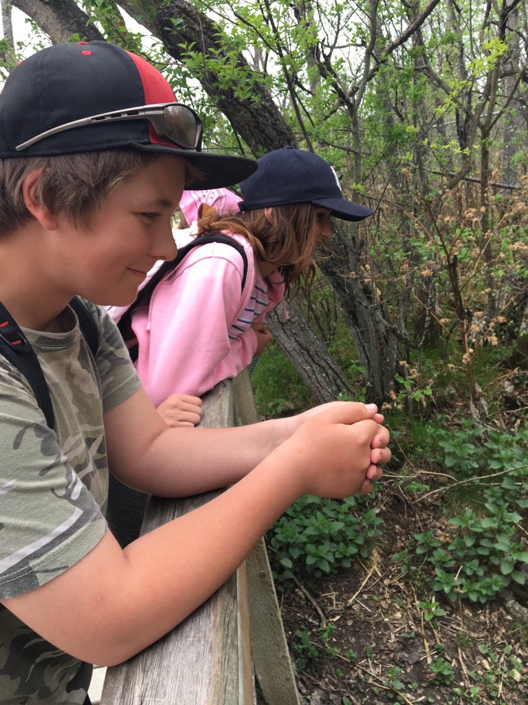 WbsGrade78's tweet photo. Our morning at Narcisse was a great success! We observed mating rituals, handled snakes, and learned so much from our partners in @room4journey! Thank you for inviting us along! @WpgBeachSchool https://t.co/YpvdsjftMn