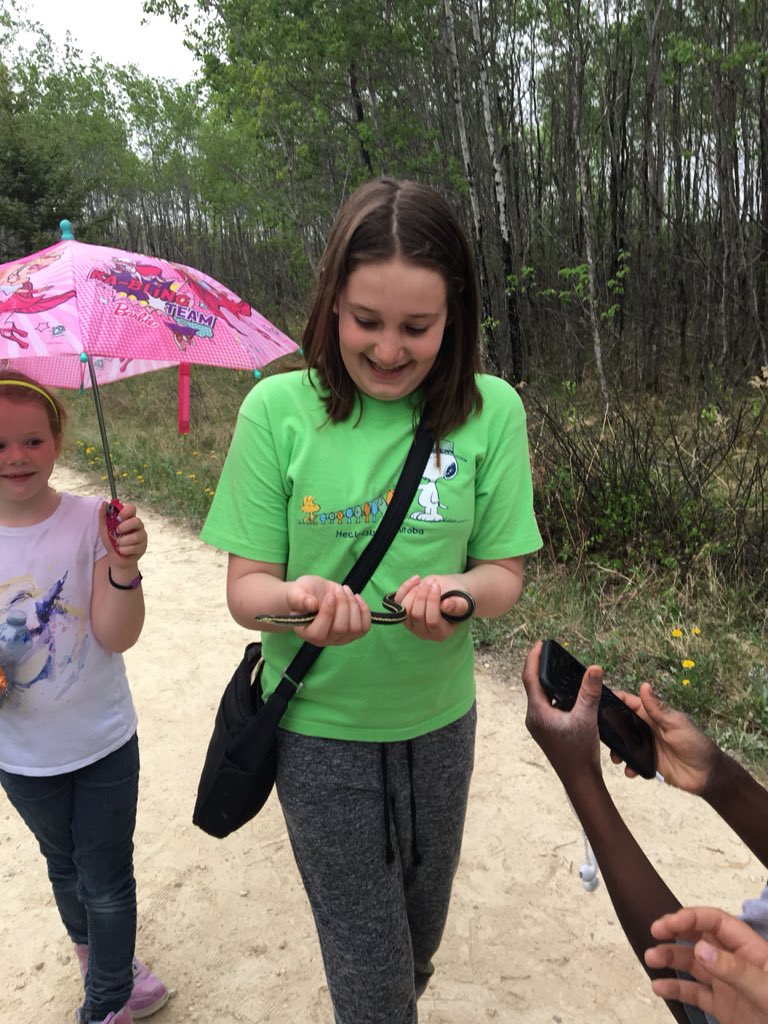 WbsGrade78's tweet photo. Our morning at Narcisse was a great success! We observed mating rituals, handled snakes, and learned so much from our partners in @room4journey! Thank you for inviting us along! @WpgBeachSchool https://t.co/YpvdsjftMn