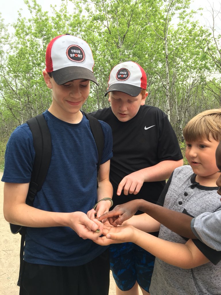 WbsGrade78's tweet photo. Our morning at Narcisse was a great success! We observed mating rituals, handled snakes, and learned so much from our partners in @room4journey! Thank you for inviting us along! @WpgBeachSchool https://t.co/YpvdsjftMn