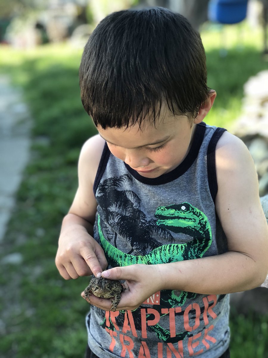 Gretchen Sage tweet media