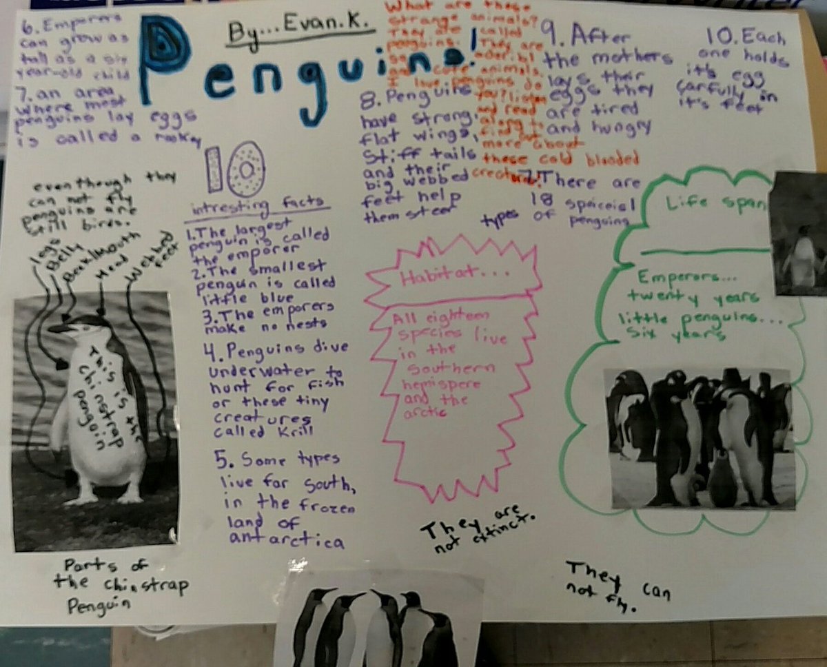 HeatherPalmisa1's tweet image. Some of my first graders research projects. They were able to pick any topic they wanted and run with it. They used books, magazines, and the internet to do research. I'm so proud of the end product. They worked so hard! @TannyMcG @CloughPikeElem #WCLearns