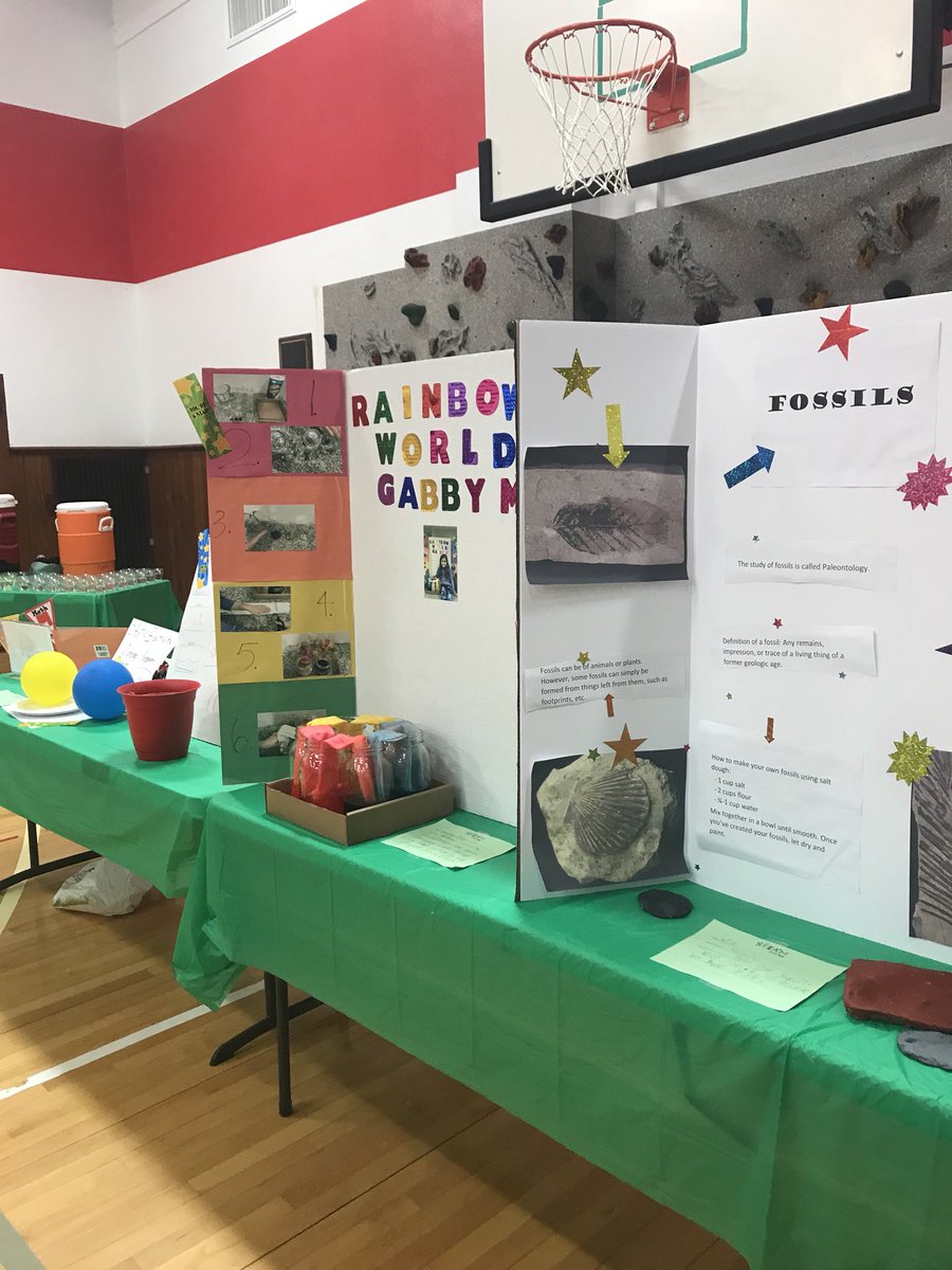 CGFirstGrade's tweet photo. Great Work First Grade! Awesome projects and research 👩‍🔬👨‍🔬🔬📚 #soproud #STEAMNight @CenterGroveES https://t.co/yD51QGpRgV