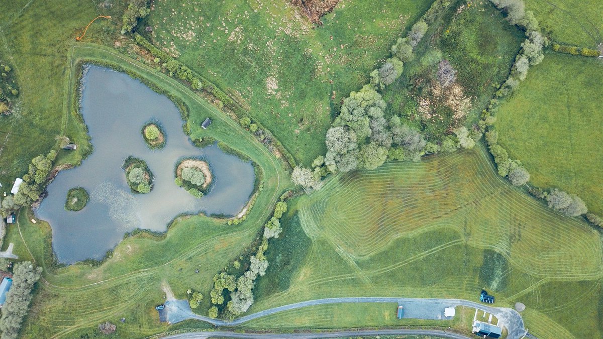 SrSpringrock's tweet image. 