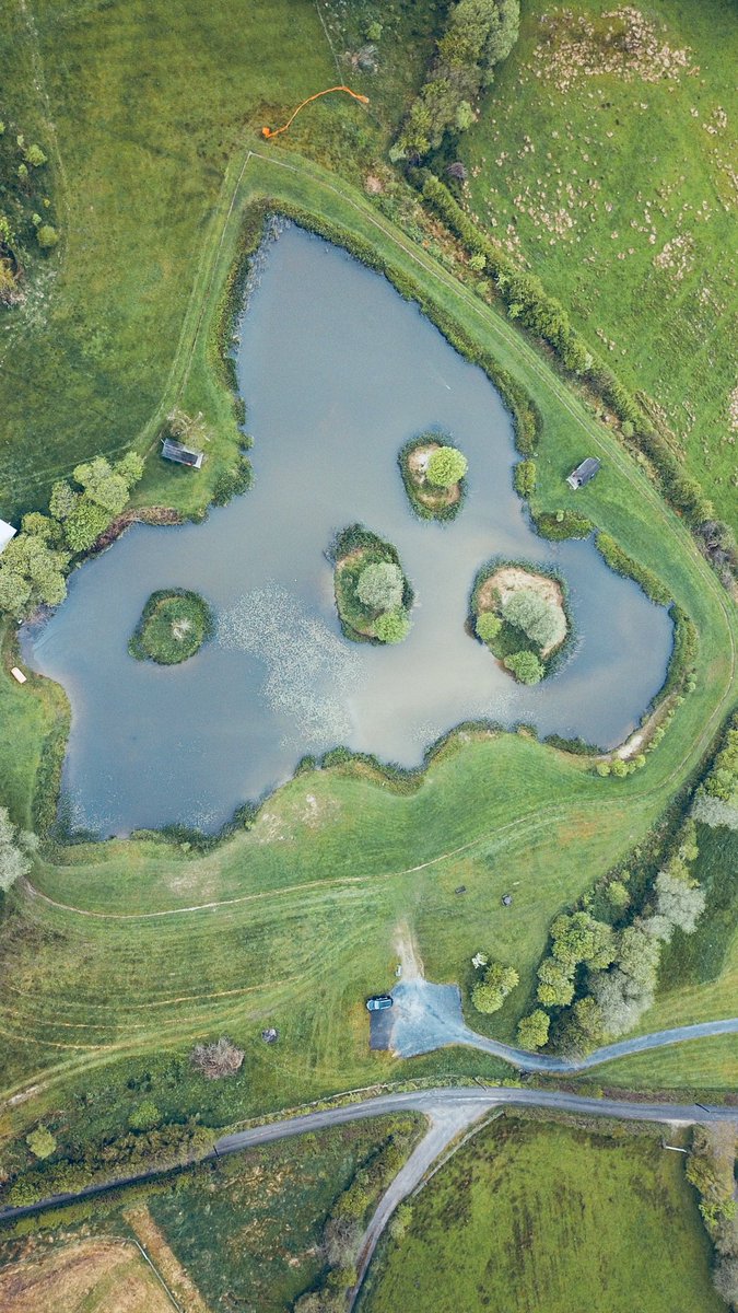 SrSpringrock's tweet image. 