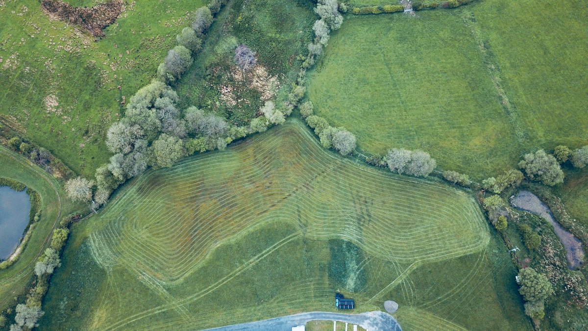 SrSpringrock's tweet image. 