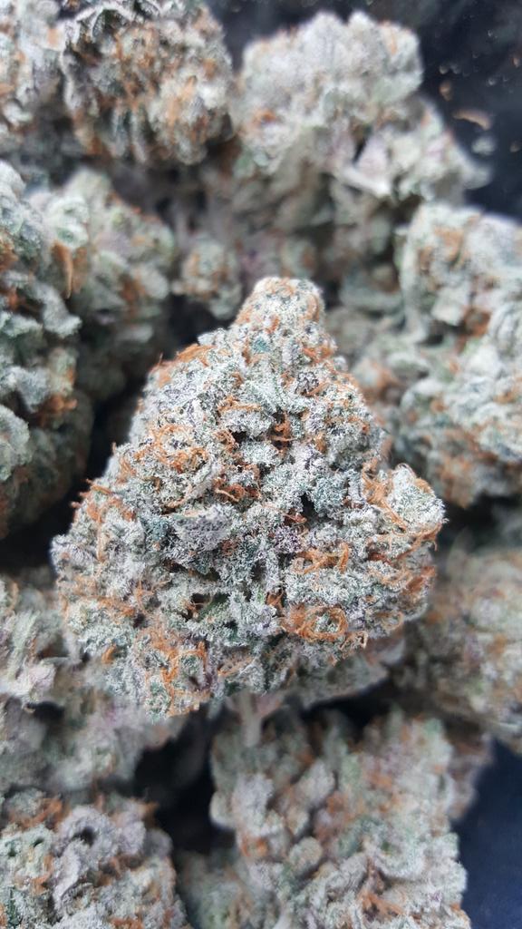 calicares's tweet photo. White Lavender! #ilovemyweed #calicaregroup https://t.co/i3hRYigTJe