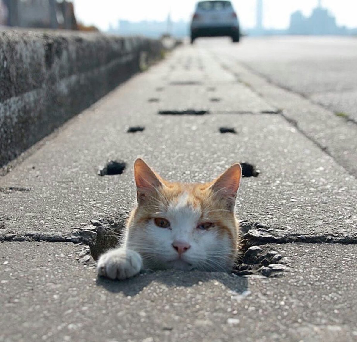 Ezhel’i mi tutuklamışlar?