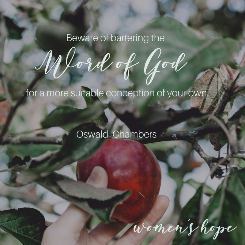 womenshopeshow's tweet photo. Beware of battering the Word of God for a more suitable conception of your own. ~Oswald Chambers
❦
❦
#bible #truth #wordofgod #twisting #godswisdom #wisdom #vainimaginations #womensministry #oswaldchambers #christianquotes #quoteoftheday #qotd https://t.co/eeAD7ZQfHG