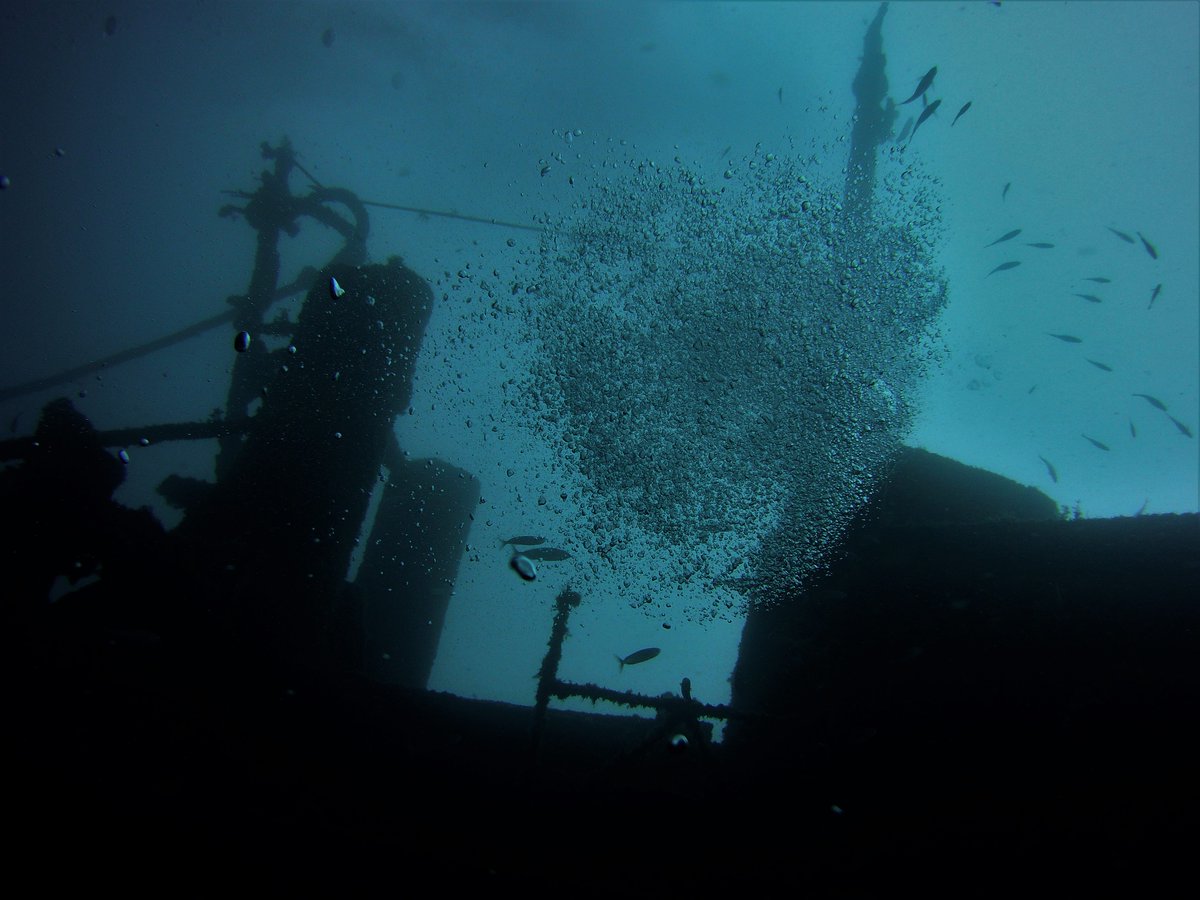 LasAmericasDive's tweet photo. #Deep and #Wreck diving was the days activities for our trainee #PADI #Advanced Open Water #Divers
#Tenerife #DMT #AOW #MI #MIApproved #TeamPete #GoDeeper #BeTheBest #MYPADI #NeverKnownHimGetSoWet #Awesome #Team #DeeperLonger #ElRaton https://t.co/1PdgLvQctY