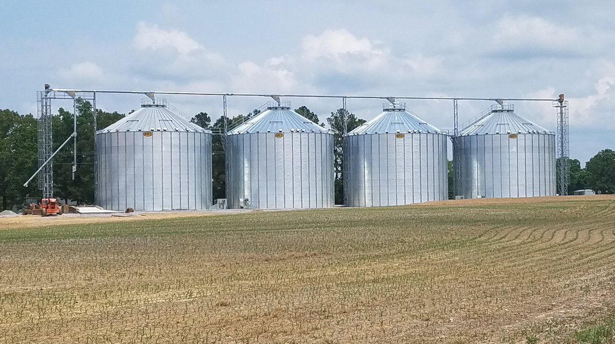 GSI_Grain's tweet photo. Watkins & Sons Mfg., Inc. of Linden, Tennessee helped a local operator save on labor, improve overall throughput and protect grain quality in one easy-to-use system - the GSI Chain Loop. Read all about it >>https://t.co/AKUBC17mDg #GSIDlrsRGr8 #GetLoopy #ProvenAndDependable 💛📸 https://t.co/ZqiXdt6O6v