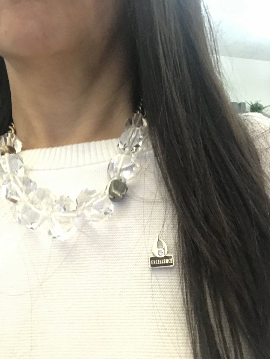 KnudsonKathy's tweet photo. Guess who is wearing their new Excellence Pin at UMS?  @USD_SUP  @usd_hr  #teamums https://t.co/sqUbvwfNNW