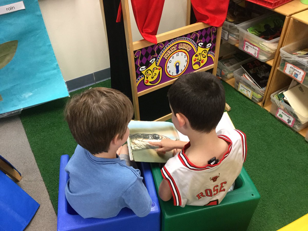 MJensen112's tweet photo. Toad or frog? We found it outside today! Now we need to figure out which it is and find food it will like @LincolnLions112 https://t.co/Au41Sy0fcY
