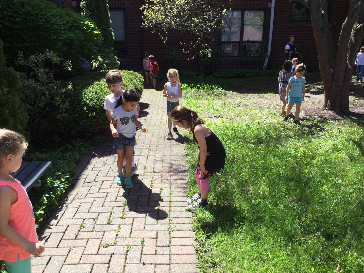 MJensen112's tweet photo. Toad or frog? We found it outside today! Now we need to figure out which it is and find food it will like @LincolnLions112 https://t.co/Au41Sy0fcY